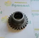 Angrenaj Dintat Z=25 02388137 