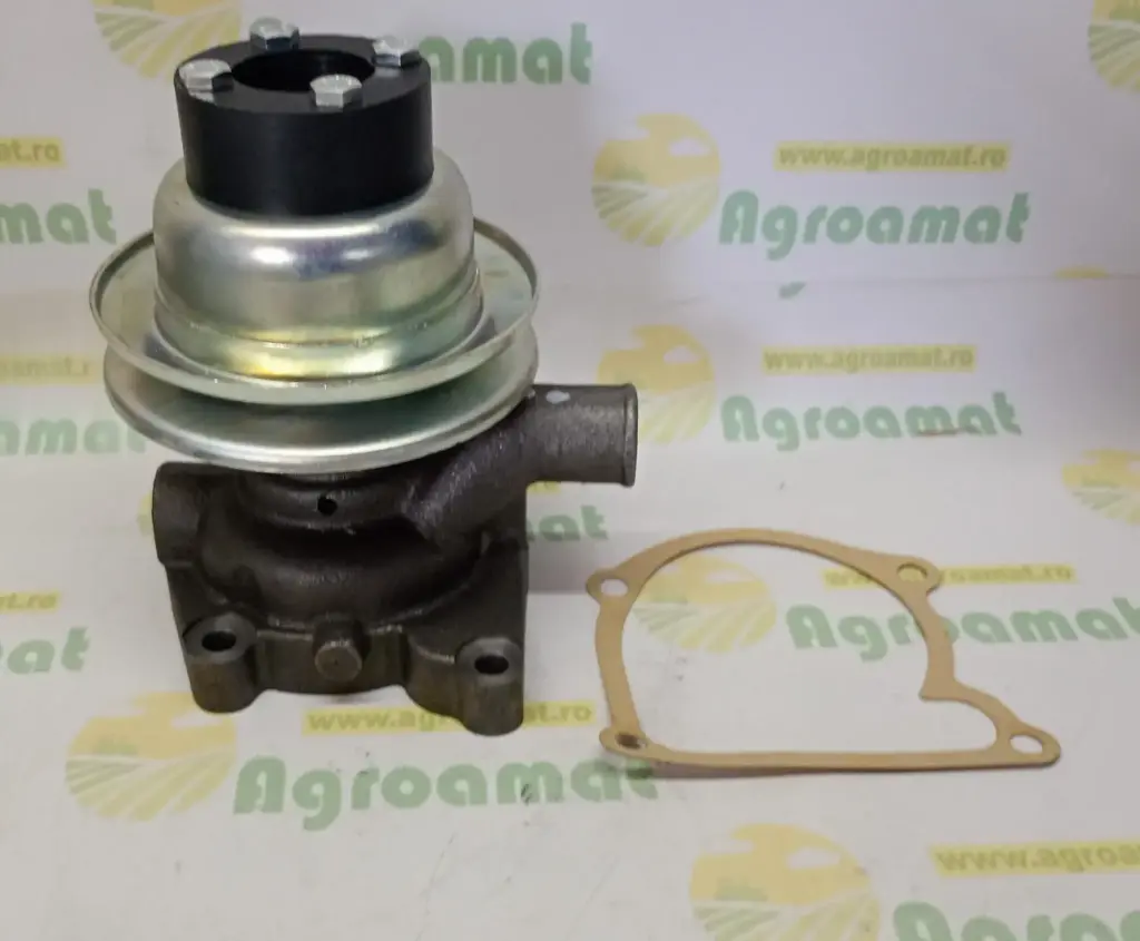 Pompa Apa 55010600