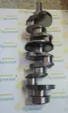 Vibrochen 81804029
