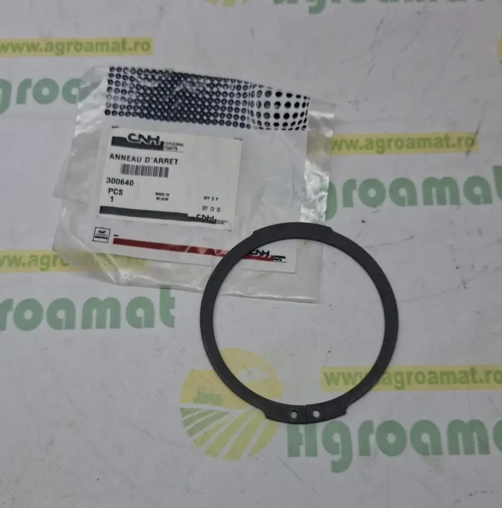 Siguranta 300640