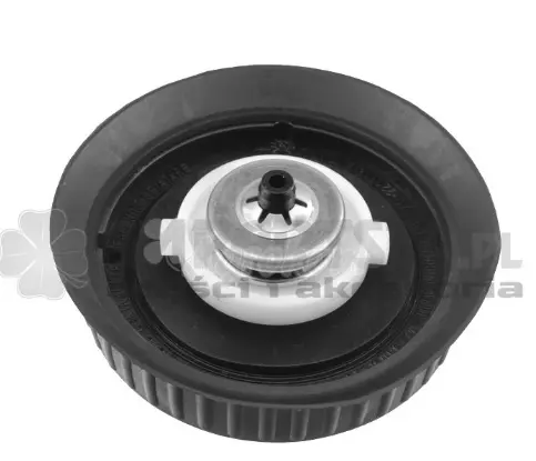 Capac Rezervor 950-5139618