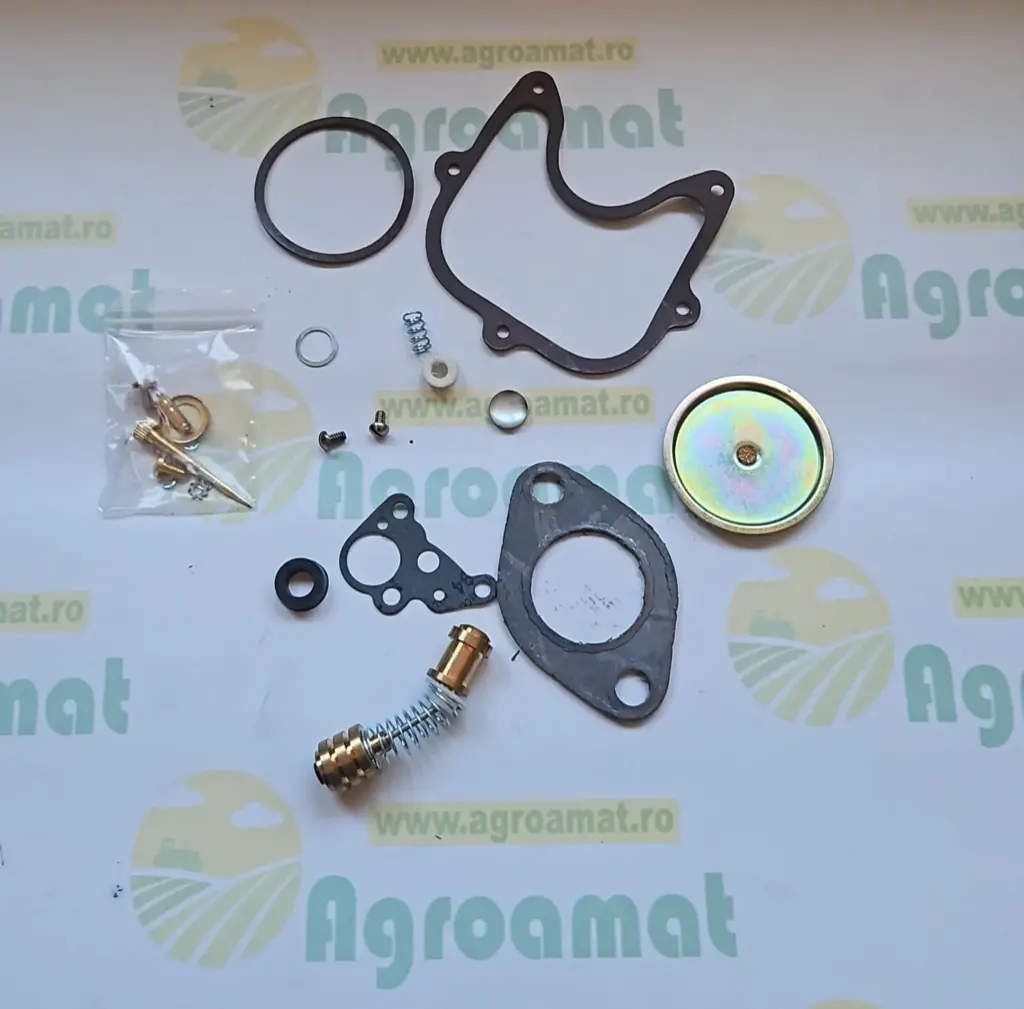 Kit Reparatie Carburator CKPN9590C