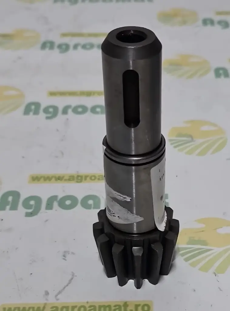 Arbore Pinion