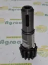 Arbore Pinion Grebla Krone