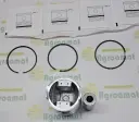 Piston cu Inele 