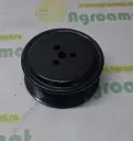 Fulie pompa apa R115250