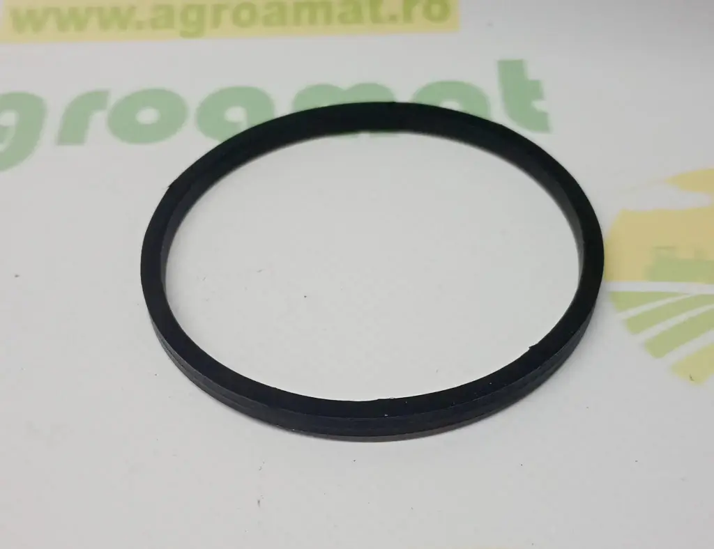 O-ring 3638492M1