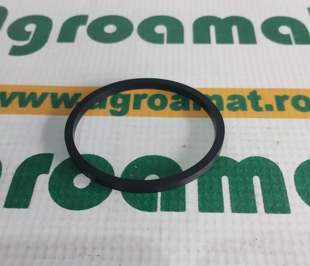 O-Ring Merlo 042615