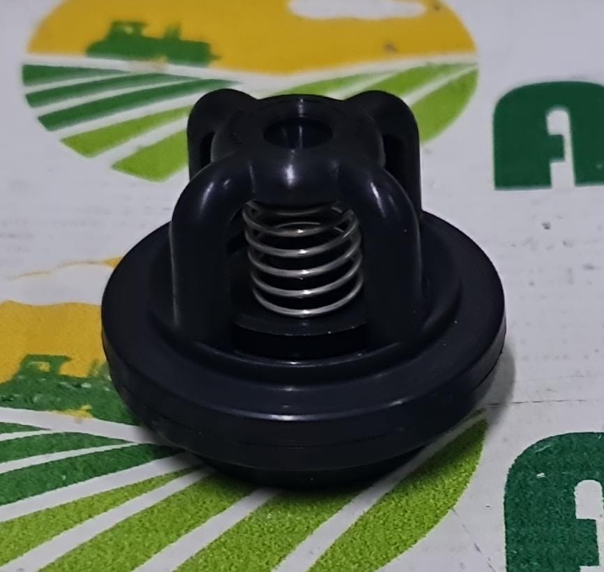 Supapa Pompa P100