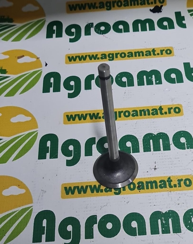 Supapa 81842750