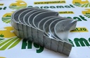 Set Cuzineti Palier R1 1901251