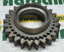 Pinion G198100080010
