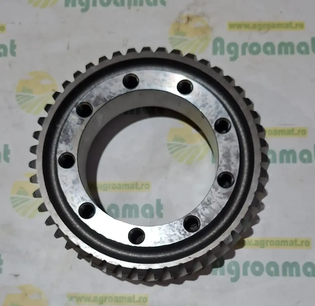 Pinion Merlo 024813