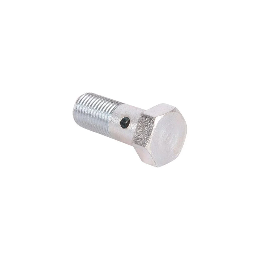 Şurub M10x1x24mm 00036825