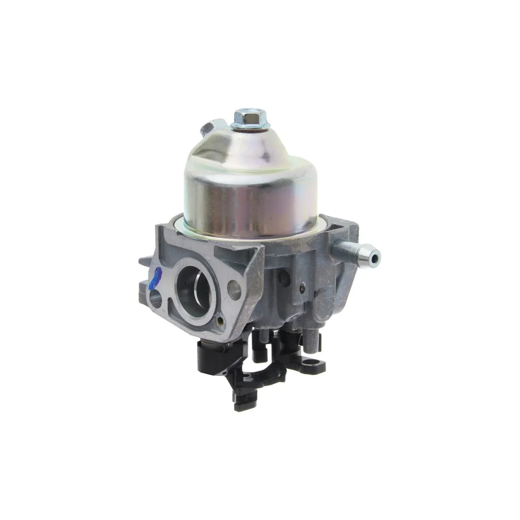 Carburator 00041200615