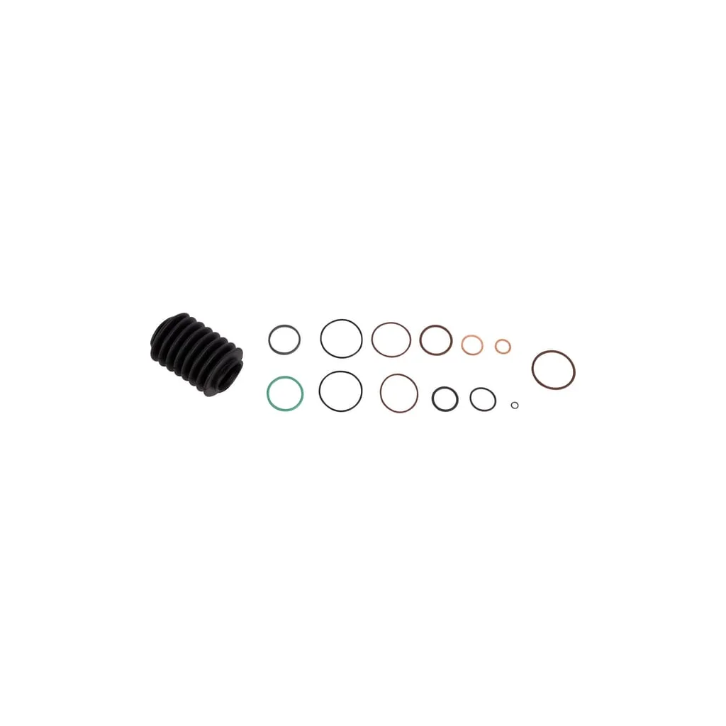 Set o-ringuri 001235806