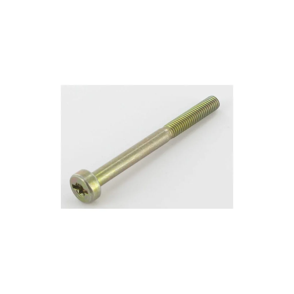 Șurub Torx M5x55 0018378