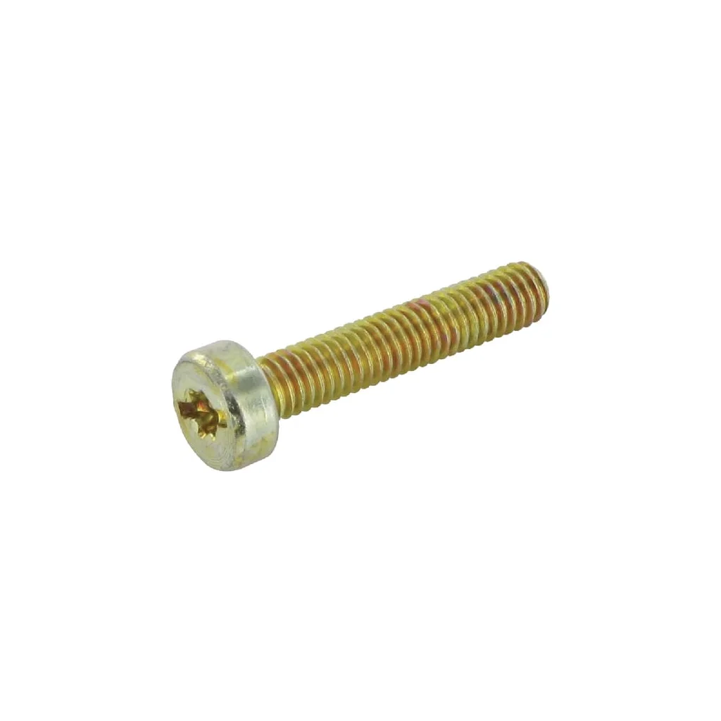 Șurub Torx M6X30KXRI.T25 0018349