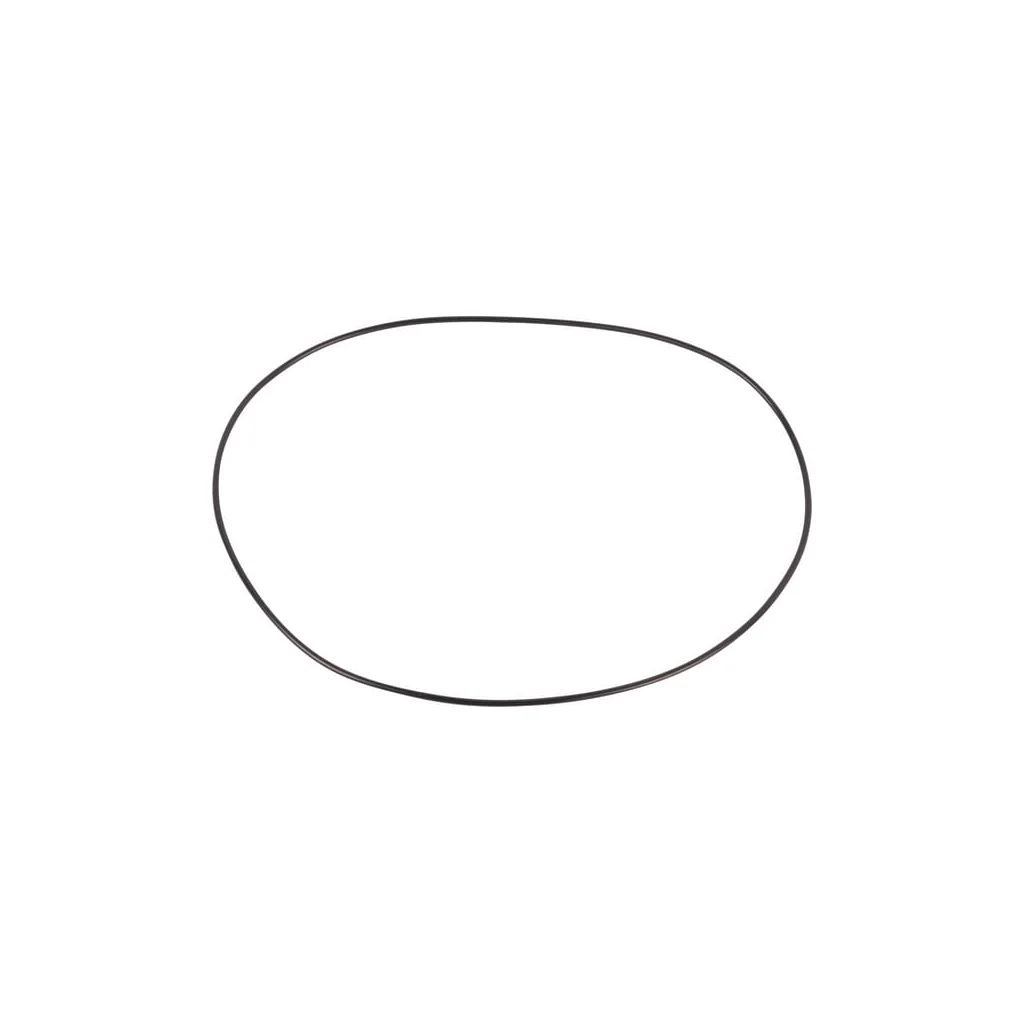 O-ring 001051350