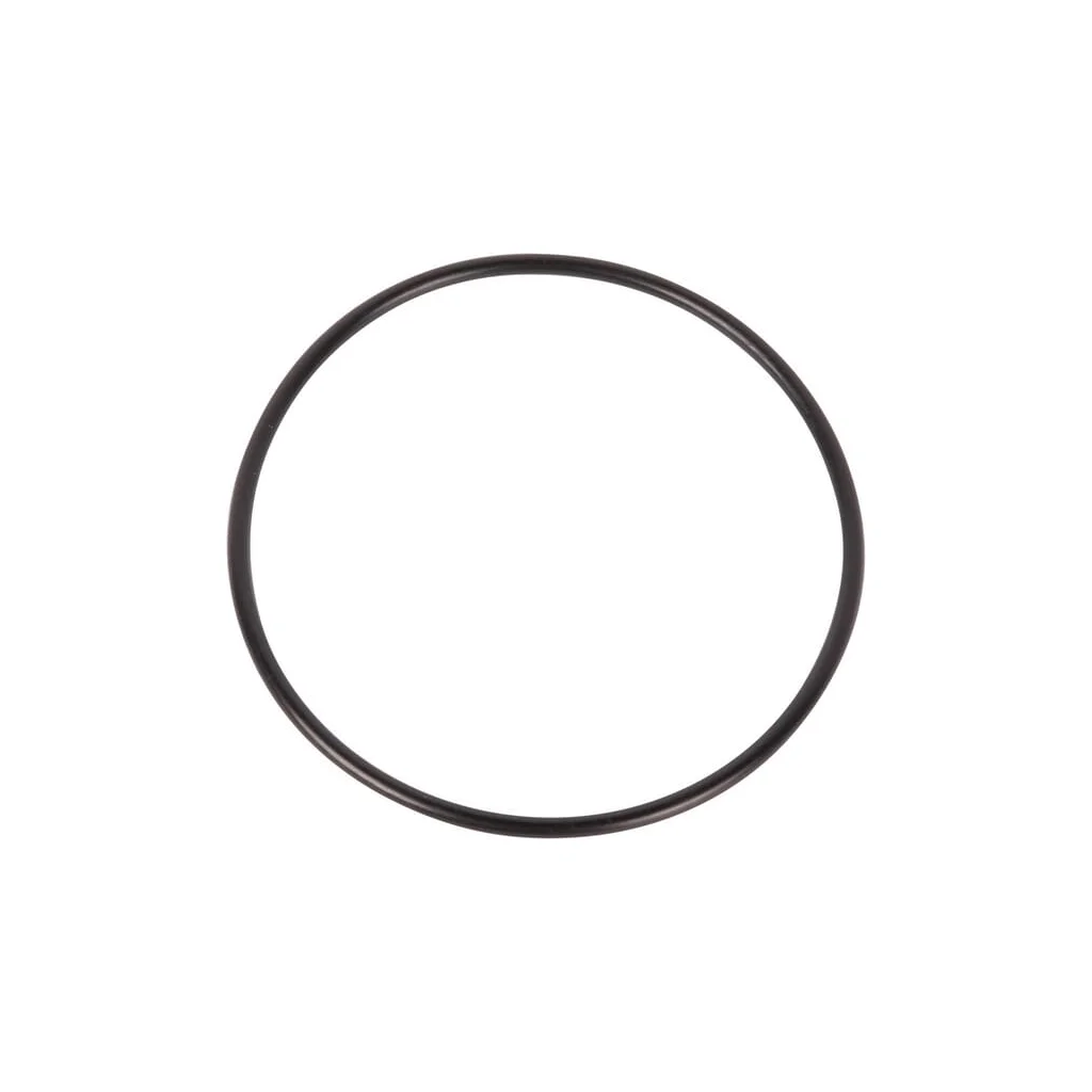 O-ring 001051420