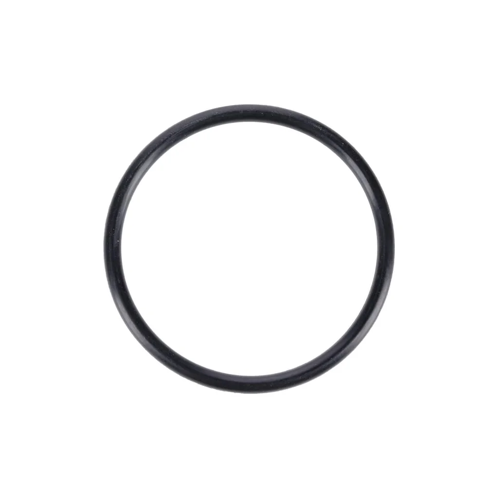 O-ring 001053758N