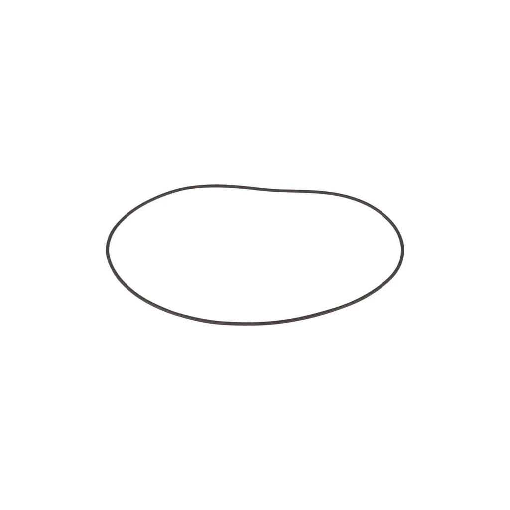 O-ring 001053300
