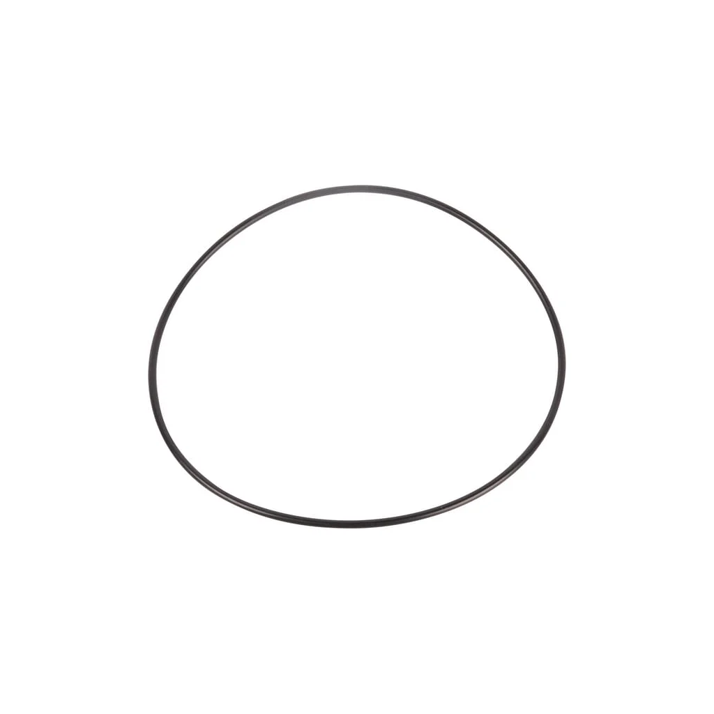 O-ring 001053333