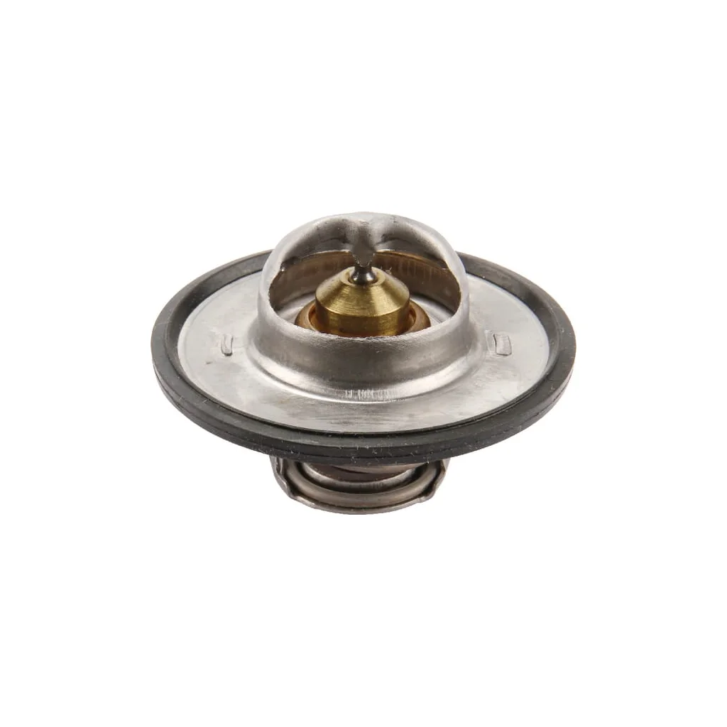 Termostat 0011381470