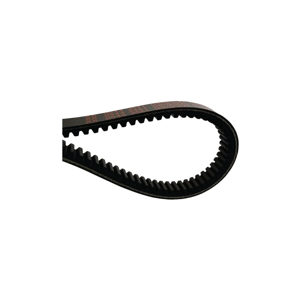 Curea PowerBand 0006443621