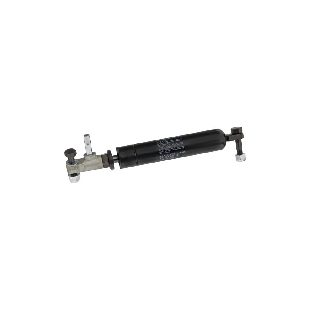 Amortizoare gaz 0005585790