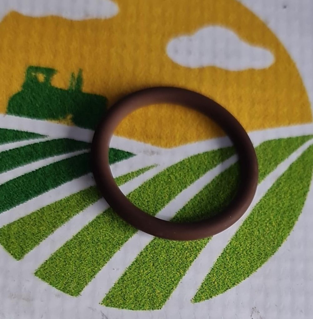 O-Ring Org. 17288781