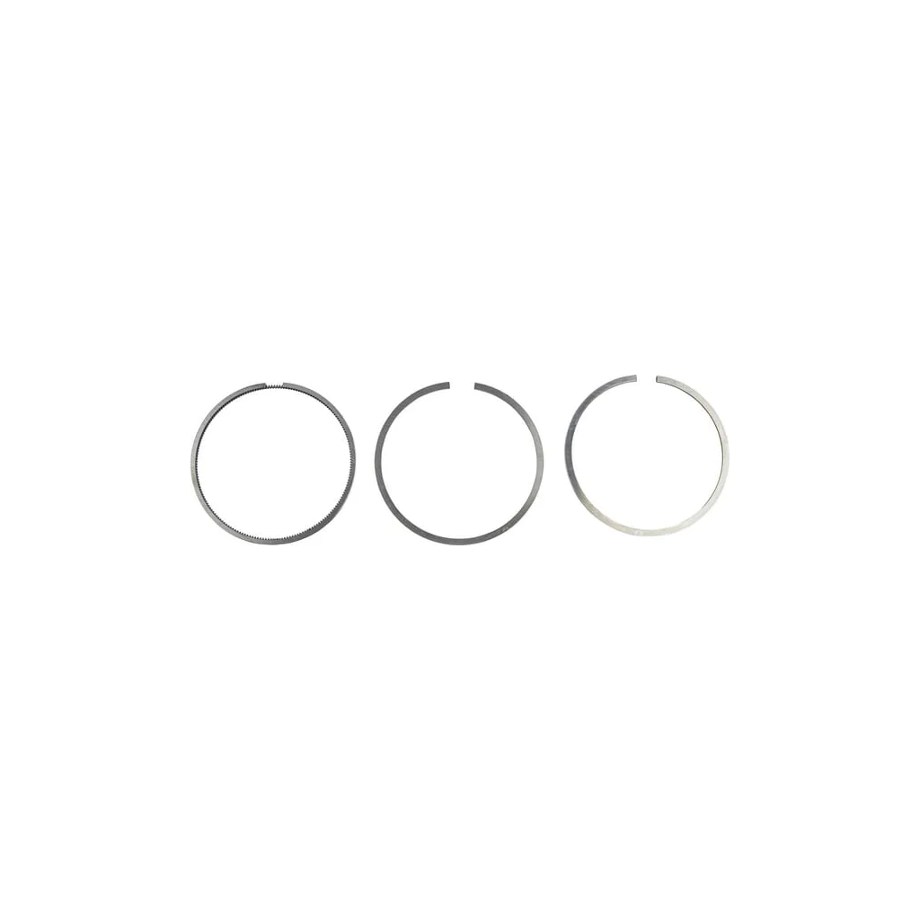 Set segment 00810090610
