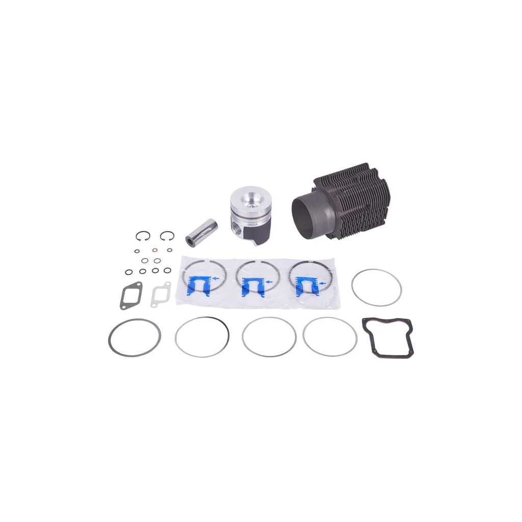 Set cilindru 00520065630