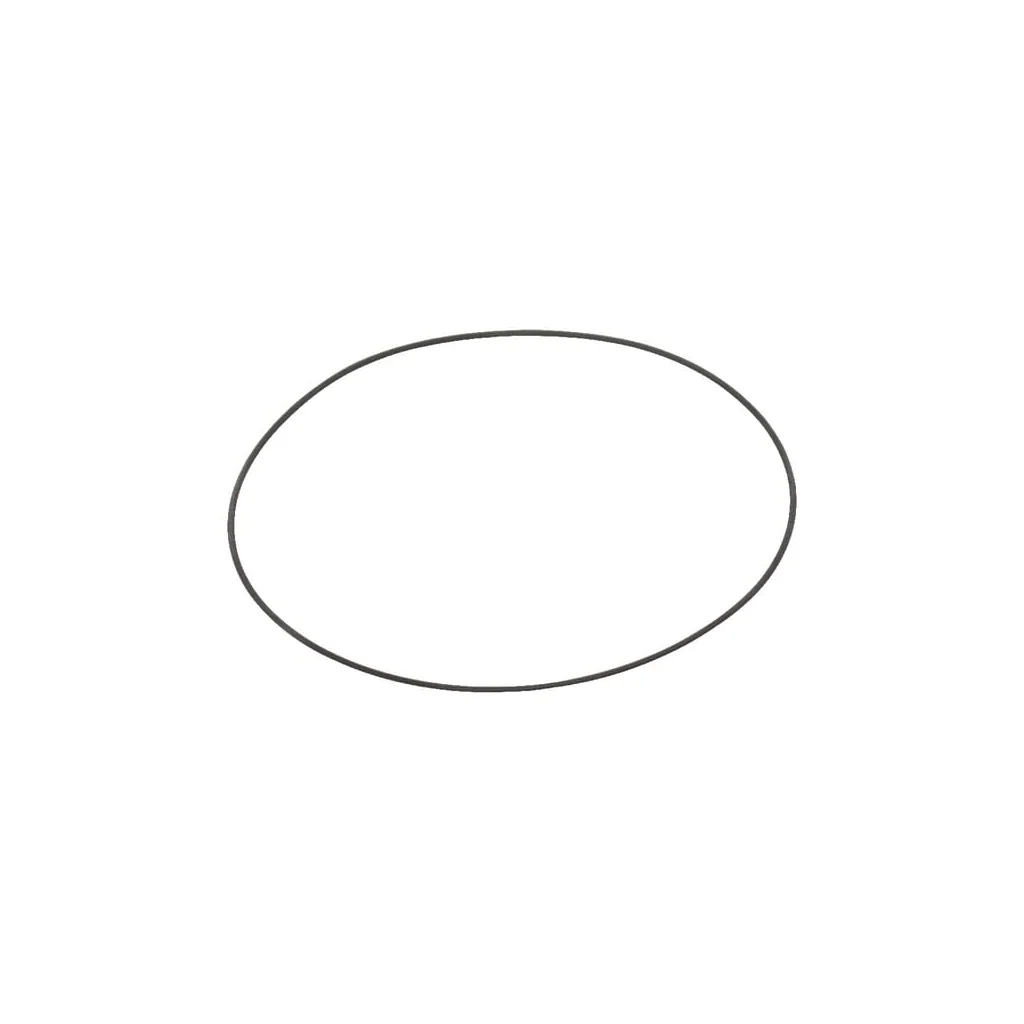 O-ring/inel de etanșare filtru Solo 0062350