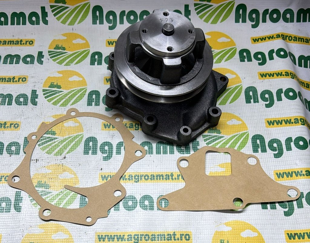 Pompa Apa 81838685