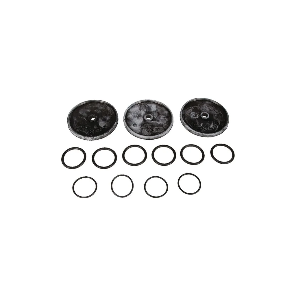 Kit membrană viton PA 330.1/430.1 039879973