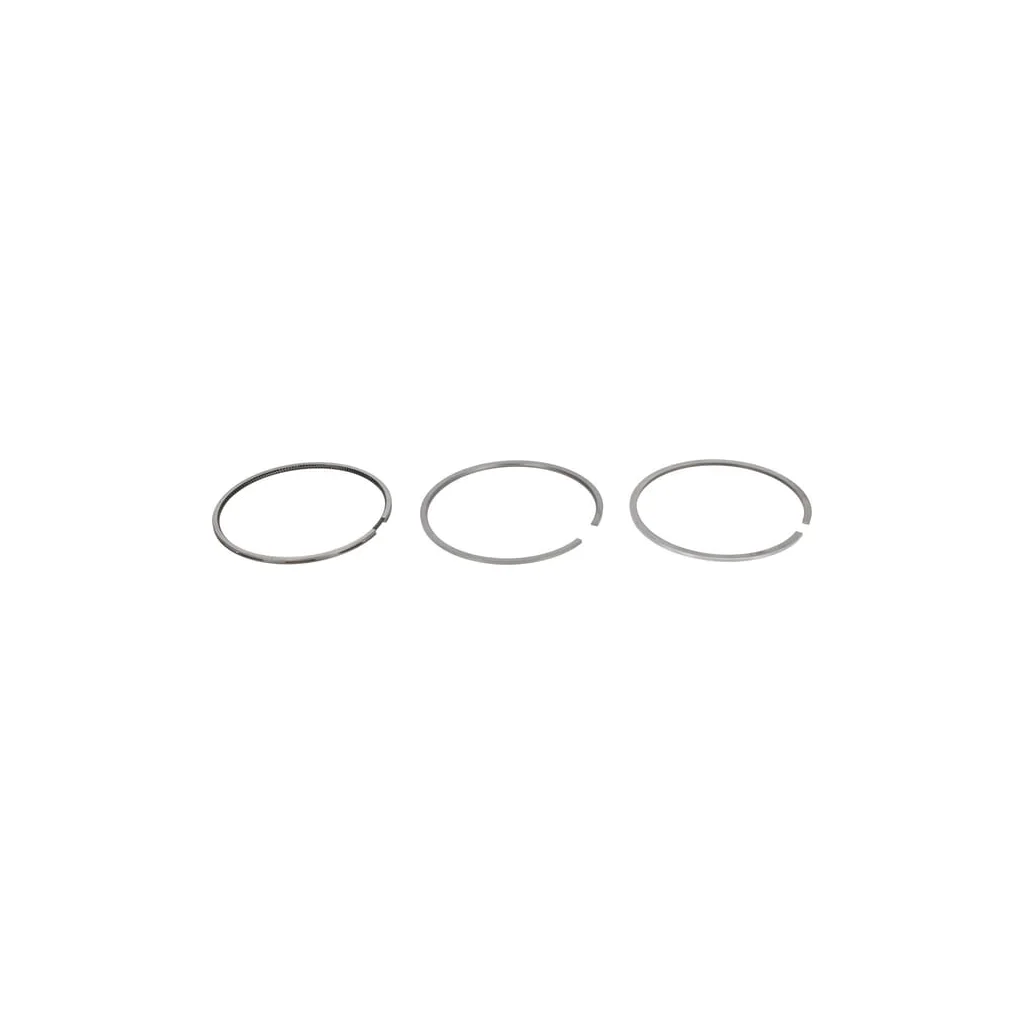 Set inele piston 04178311