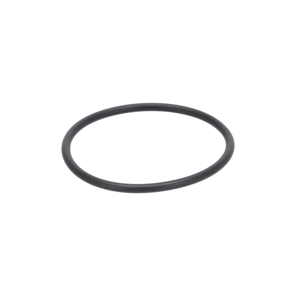 O-ring 04125416