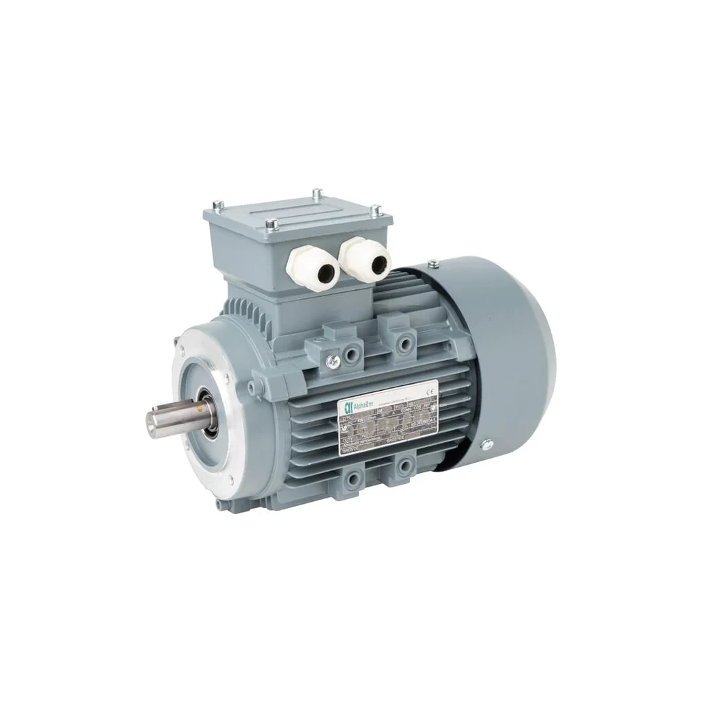 Motor electric 1,1 kW 015603