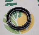 Simering Org BP13899