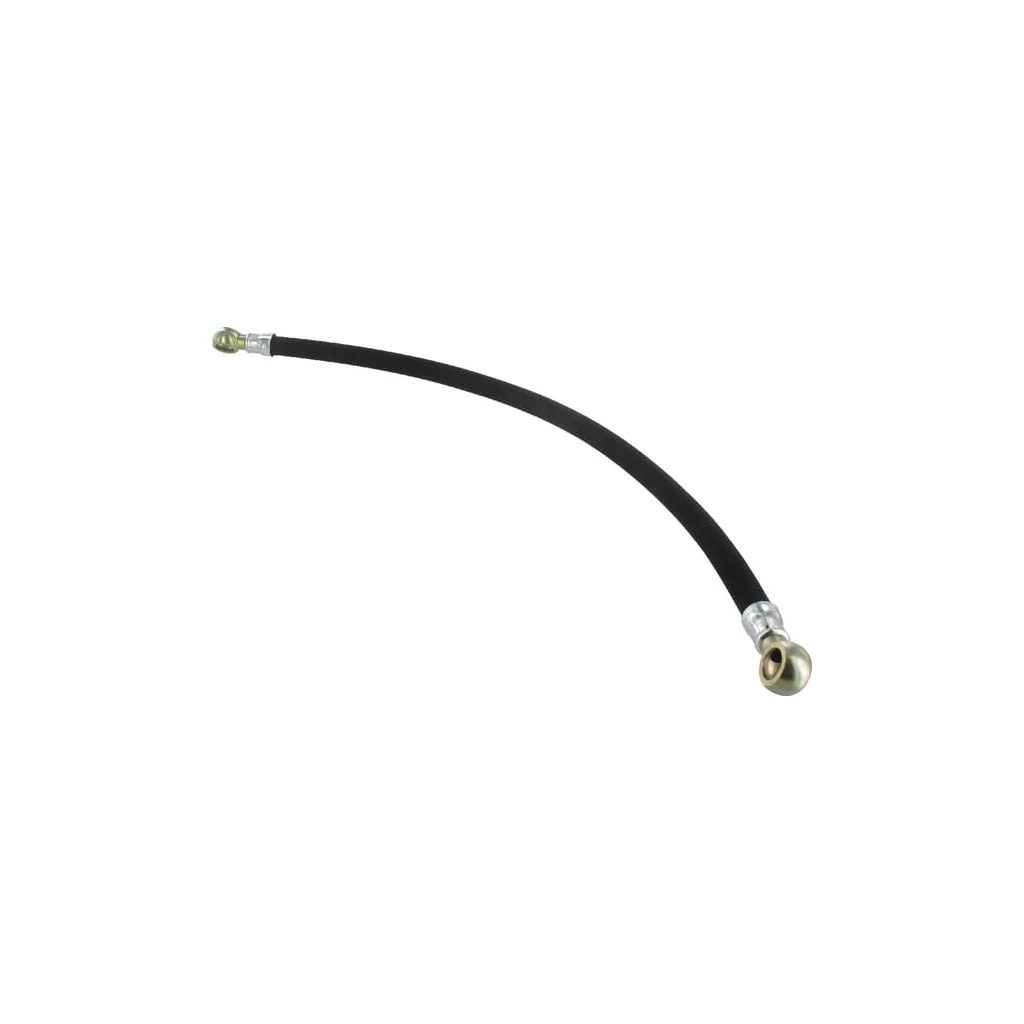 Furtun combustibil 01183984