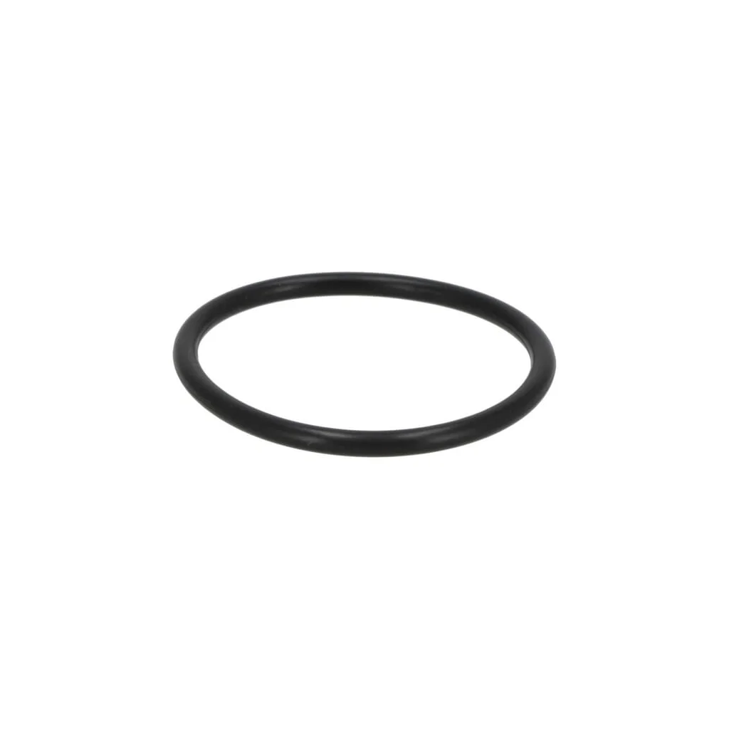 O-ring 01319624