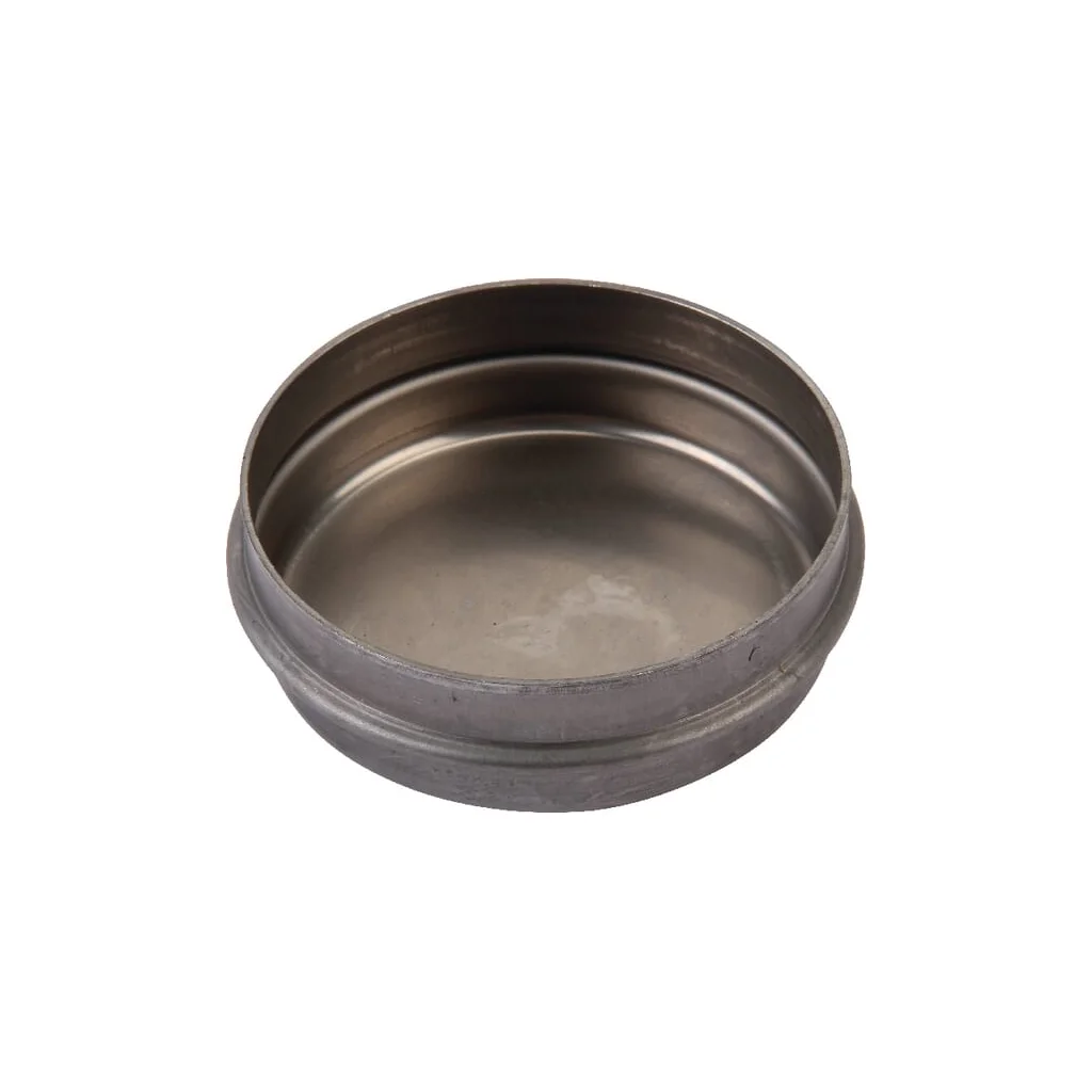 Capac butuc 02381374