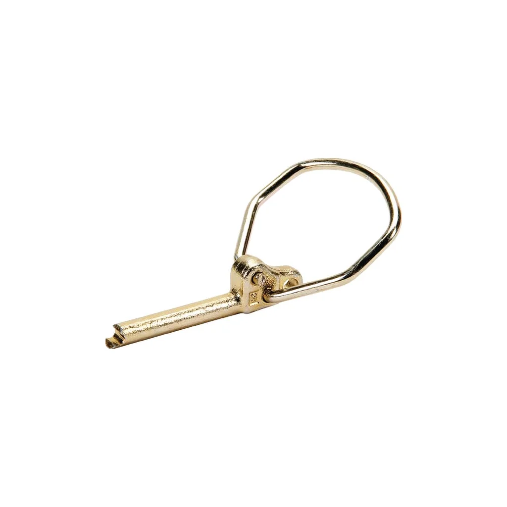 Bolț de siguranță cu inel 4,7x32mm Rubig 02470000