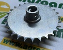 Pinion 10125028