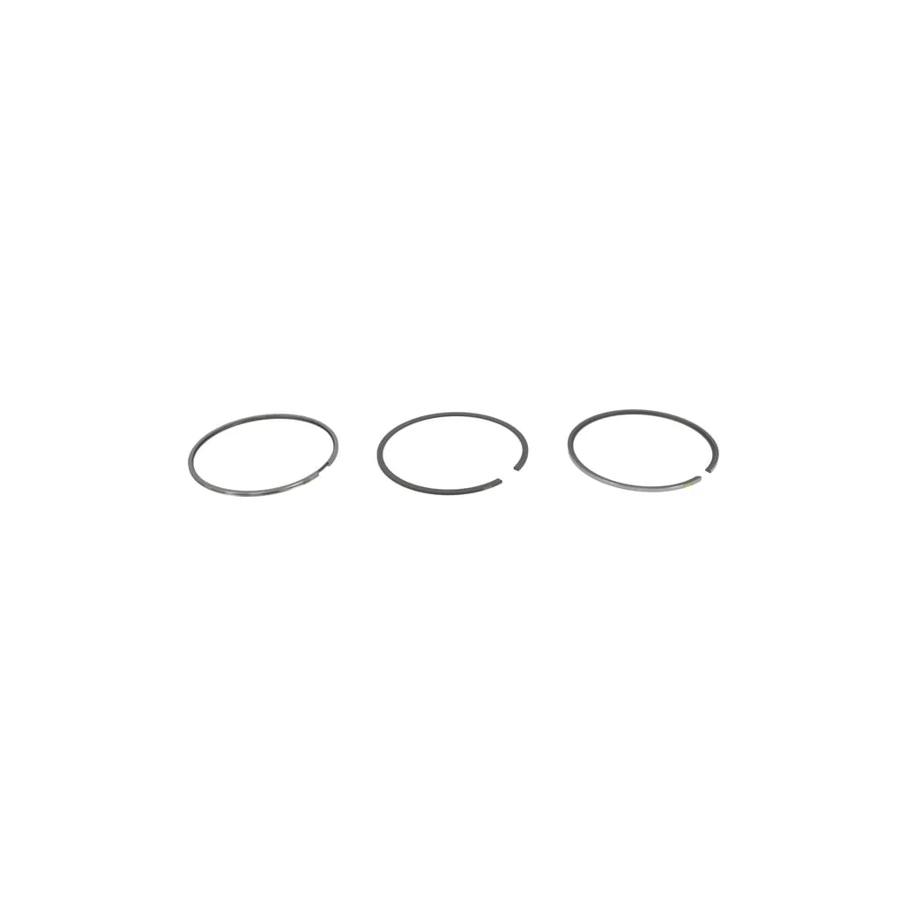 Set inele piston 04900839