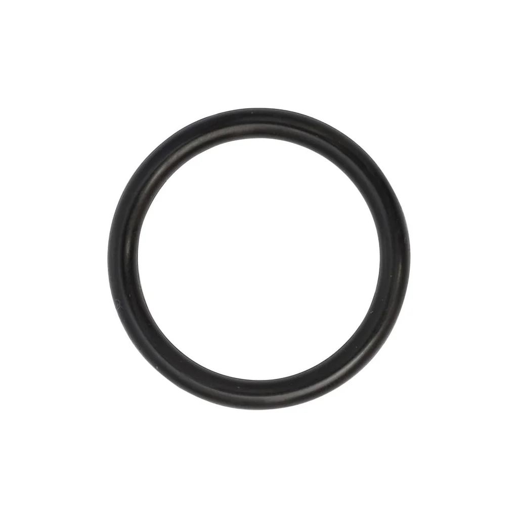 O-ring 0481600200