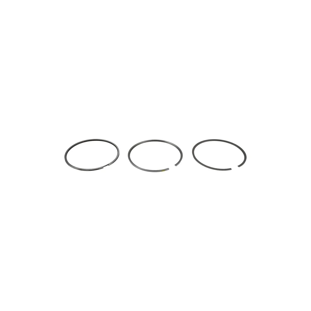 Set inele piston 04501339