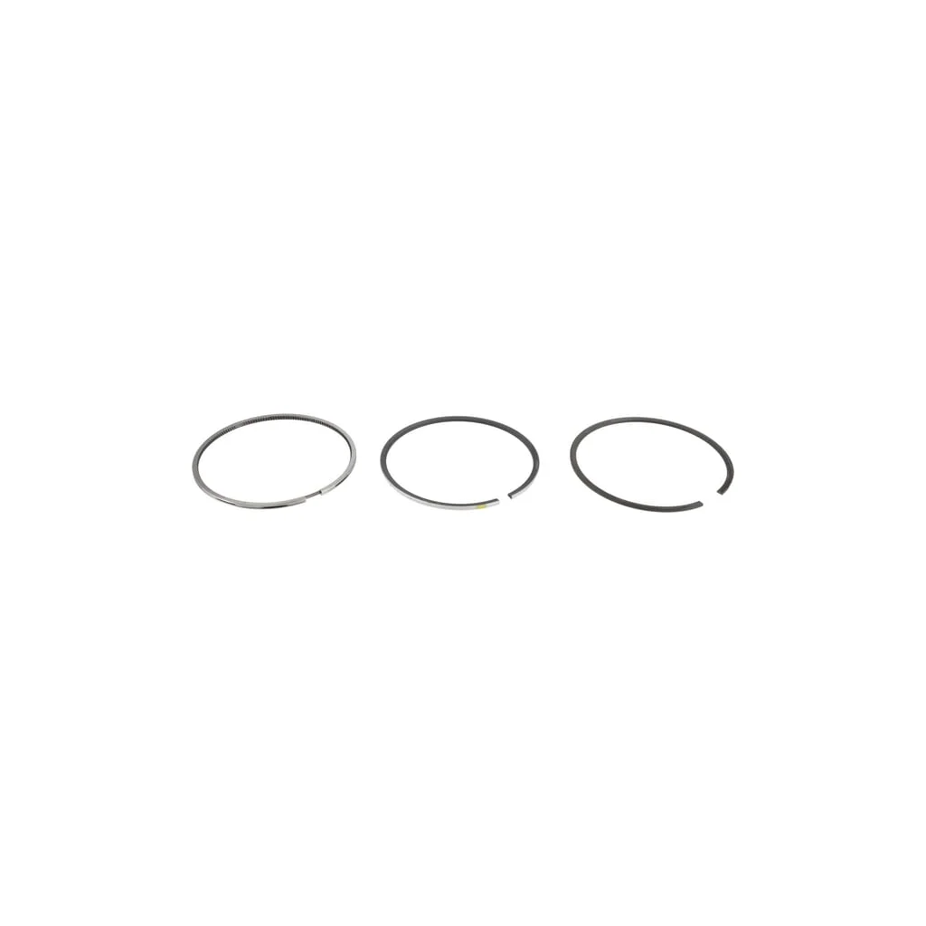 Set inele piston 04501338
