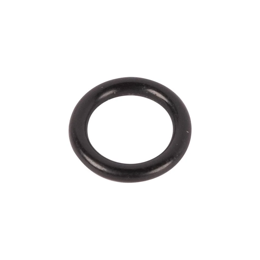 O-ring 04419168